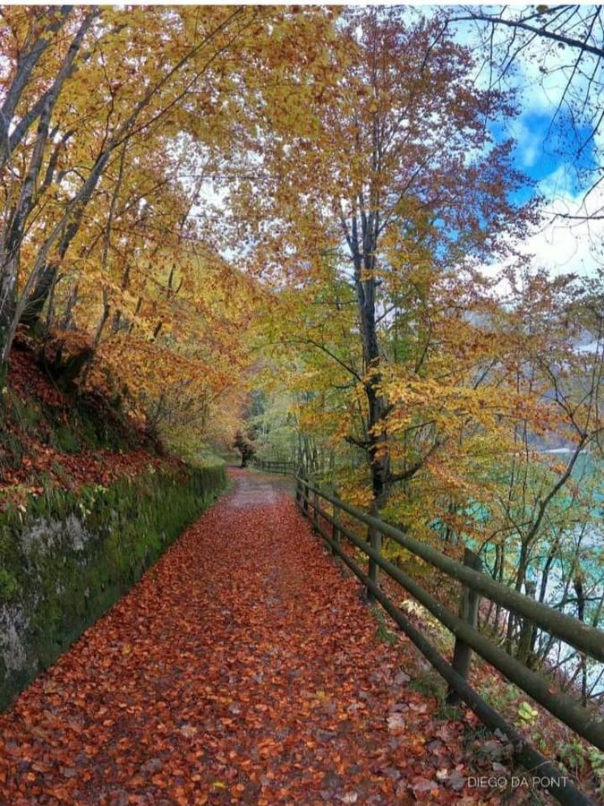 Colori Nel Parco Apartamento Cesiomaggiore Exterior foto